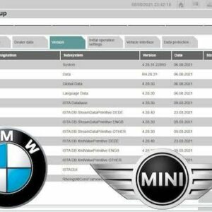 Diagnostic auto spécial BMW et MINI